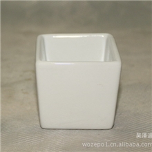 陶瓷花盆批发花盆容器园艺花盆迷你花盆zakka花盆202白