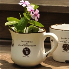 厂家直销新品特价批发仿搪瓷奶壶花盆ZAKKA花盆陶瓷工艺品9685