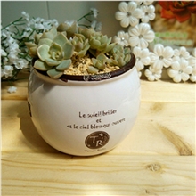 厂家直销新品热卖zakka陶瓷花盆复古陶瓷花盆仿搪瓷盆载9663