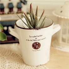 批发定做zakka陶瓷花盆仿搪瓷复古双耳陶瓷盆栽网上热卖9677