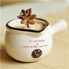 厂家直销新品热卖放搪瓷花盆药壶型复古陶瓷盆栽工艺品9656