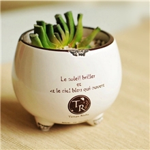 厂家直销新品热卖zakka陶瓷花盆仿搪瓷盆载桌摆小花盆9698