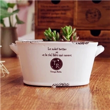 厂家直销复古仿搪瓷花盆双耳椭圆花盆白色做旧迷你多肉花盆4245