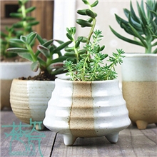 景德镇花盆批发定制双色浅陶三足多肉植物花盆案头园艺小花盆