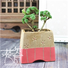 多肉植物花盆定制手工雕刻彩泥多肉小花盆案头小花盆陶