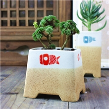 景德镇多肉植物花盆定制手工花盆手绘粉彩鱼小花盆案头陶艺花盆