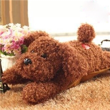 新款泰迪狗双插手充电热水袋/贮水式电暖宝/电暖袋/暖宝宝批发