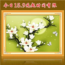 新款5D品牌精准印布十字绣批发D085月色玉兰厂家低价供应