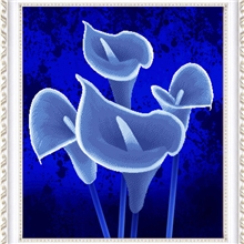 新品精准印布十字绣5D十字绣D024马蹄莲十字绣批发厂家直销