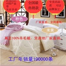 爆款纯新羊毛被厂家直批第三代加厚冬被特价促销羊毛春秋被子