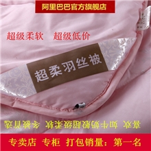 南通产业带厂家直批超柔羽丝绒被子厚冬被芯春秋棉被家纺床品