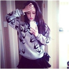 2013冬季新品女装欧美5105#最新燕子植绒立体印花加厚卫衣