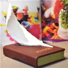 S06羽毛书靠挡欧美风格仿筒家居饰品树脂摆件创意个性礼品北欧
