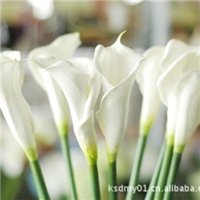 聚氨脂仿真花聚氨脂花人造花