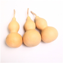 供应工艺葫芦（一元特卖）(图)