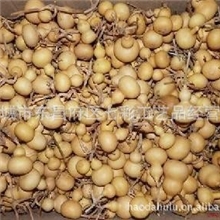 精品推荐聊城精美葫芦工艺品【美国葫芦】