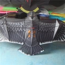 供应2米热印鹰/热转移印刷鹰风筝/2米鹰