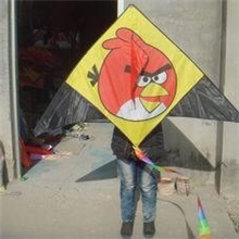 愤怒小鸟风筝/2013年新品小鸟风筝/小型三角风筝