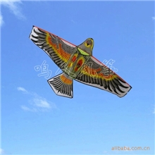 【019】潍坊风筝新款直翅小刚鹰风筝好飞！