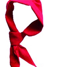 红领巾学校采购厂家批发红领巾