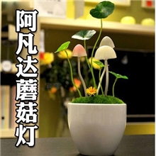 特价阿凡达七彩蘑菇小夜灯创意生日礼物光控浪漫七彩陶瓷小夜灯