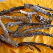 批发供应海柳原料