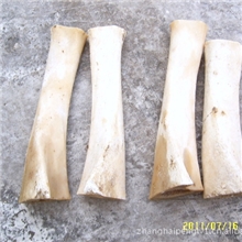 牛骨材料牛骨牙雕牛骨批发牛骨雕刻进口牛骨