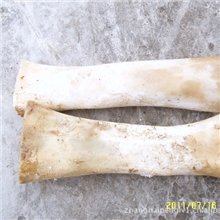 牛骨材料牛骨批发牛骨雕刻进口牛骨