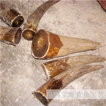 【专业品质】供应精品优质热销非洲牦牛角尖