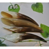 【优质直销】供应做工精美天然牛角刮痧筒茶勺