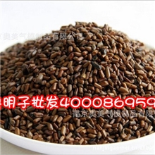 厂家直销充气玩沙池钓鱼池沙滩池决明子沙子