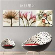批发无框画三联家居装饰画无框画客厅透明花无框画