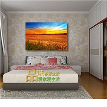 现代家居装饰画挂画酒店装饰无框画家庭壁画