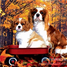 厂家直销三维立体画批发3D立体画三维装饰画画高清立体画