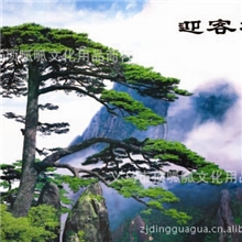 SF-2027装饰画立体画高清立体画画3d立体画义乌装饰画