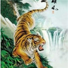 sf1026装饰画立体画三维立体画高清三维立体画立体画2535