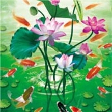 25*35规格SF-2127立体画三维立体画立体画批发