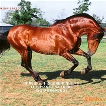 《骏马奔腾》数字油画油画手绘装饰画客厅玄关画