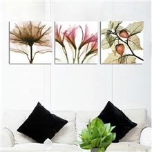 7.5折特价装饰画客厅沙发背景墙现代餐厅三联无框画挂壁画透明花