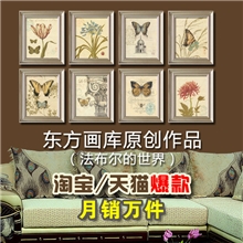 DF5063-1地中海普罗旺斯装饰画,法布尔的世界!