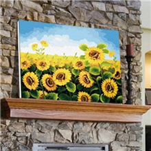 厂家直销DIY手绘数字油画批发向日葵40*50cm