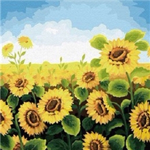 diy数字厂家批发636新向日葵40*50