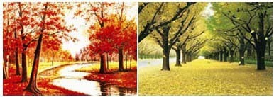 三维立体画批发，高清3D立体画，立体画可带画框批发25*35CM