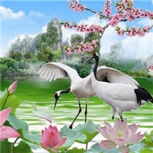 三维立体画，美鹤立体画批发，大量现货可选择25*35CM