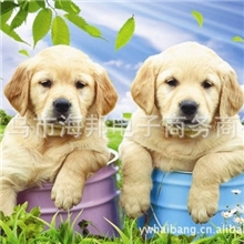 供应高清三维立体画，动物风景人物等系列立体画，款式多样