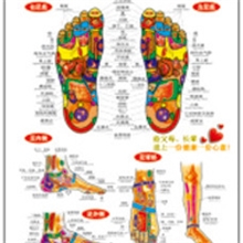 浙江义乌厂家批发人体穴位经络挂图批发足部反射区健康疗法挂图