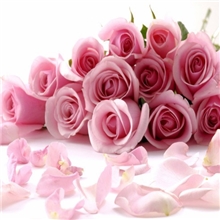 新款钻石画批发方钻画满钻钻石绣贴钻画厮守一生花草厂家直销