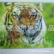 供应三维立体画，家居装饰用品，高清三维壁画