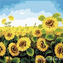 疯狂抢购中可贴牌带加工正品油画精装数字油画批发