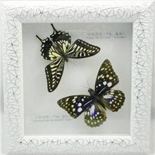 小额批发，品牌代理，新奇特工艺品批发新奇特工艺品